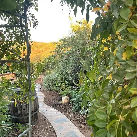 Rosas Maerchenhafte Mit Pool * Vilaflor