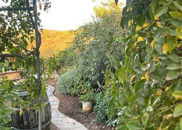 Rosas Maerchenhafte Mit Pool * Vilaflor